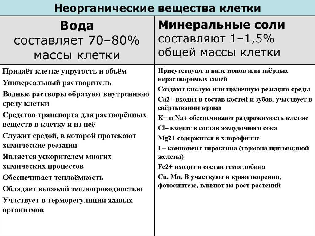 Клетка