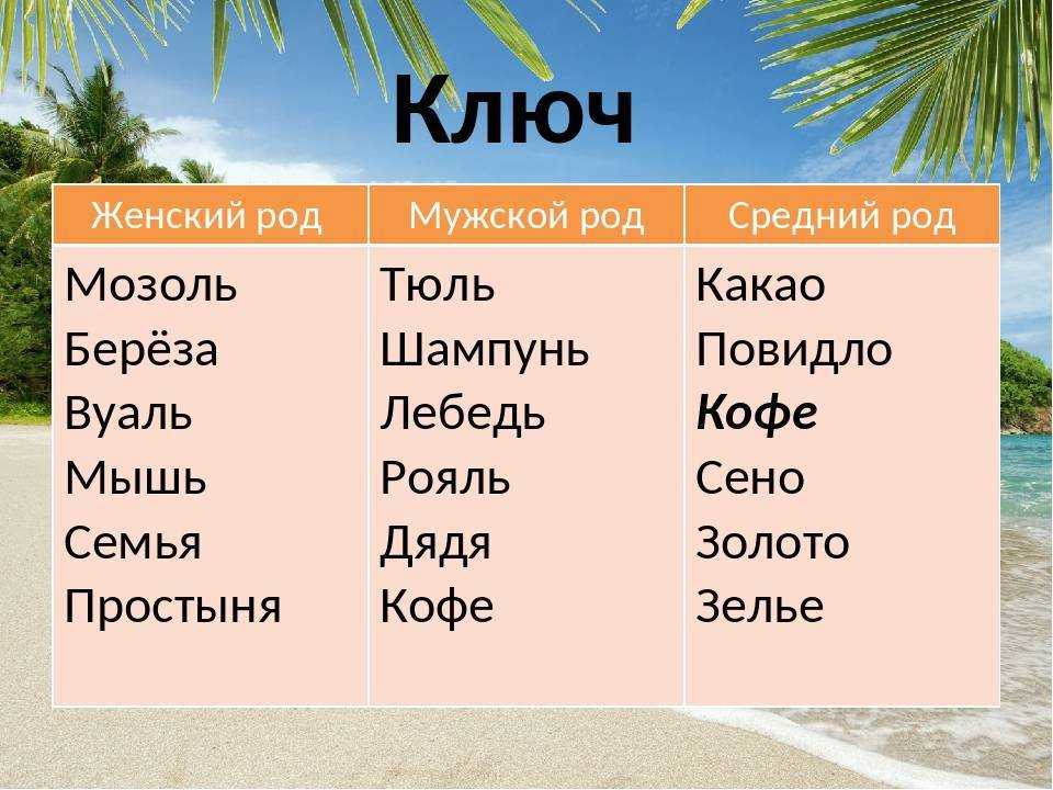 Женский род существительных в русском языке