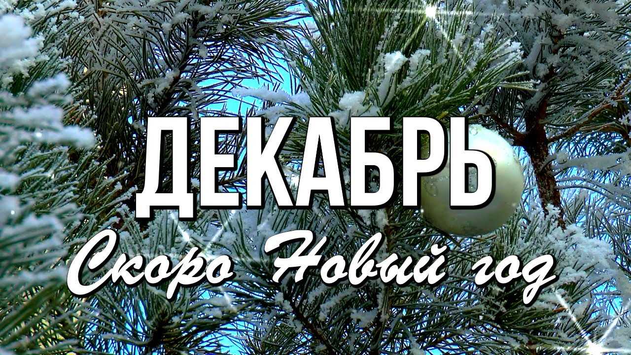 В каких странах сейчас зима? когда начинаются времена года в разных странах. сейчас какое время года - uhistory.ru