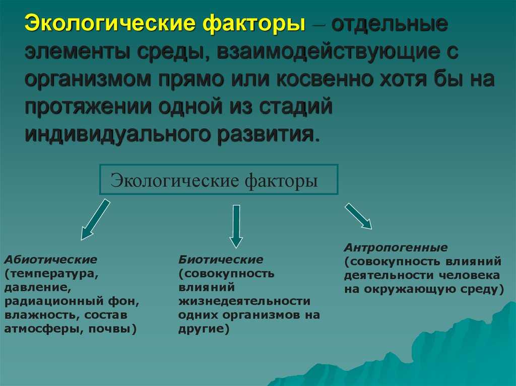 73. экосистемы и присущие им закономерности
                                читать 0 мин.