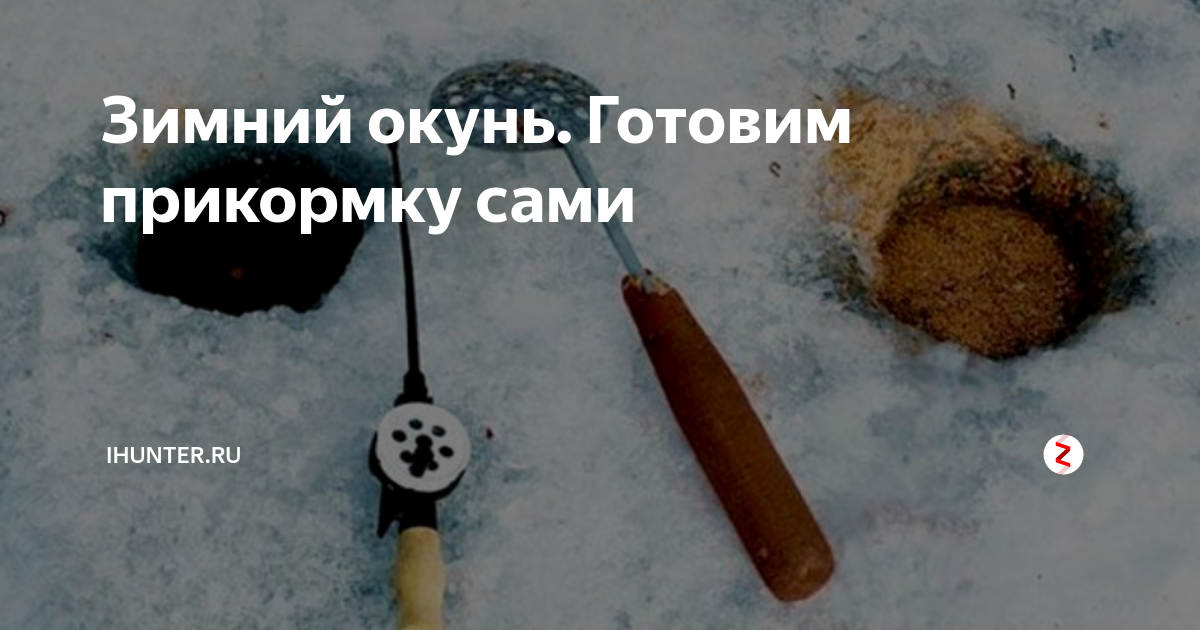Рыба окунь: фото, описание и интересные факты