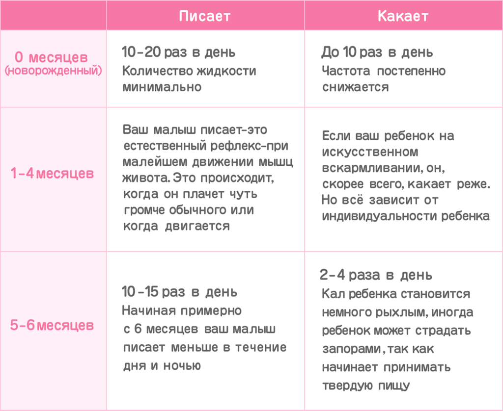 Почему еда превращается в кал в кишечнике - научное объяснение и ключевые факторы