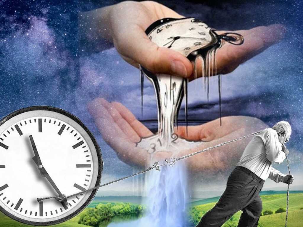 Количество остановок семьи федоровых по отношению к общему количеству остановок всех семей