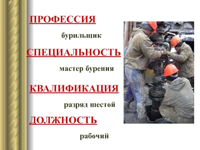 Высшее образование квалификация. определяем, какая квалификация и специальность по диплому