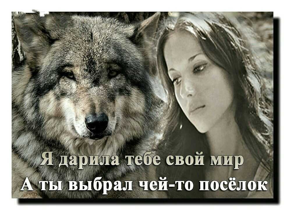 Дикие девушки: что это значит?