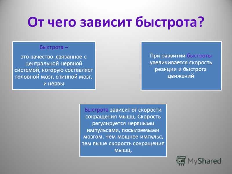 10 основных причин, по которым люди используют компьютеры в повседневной жизни