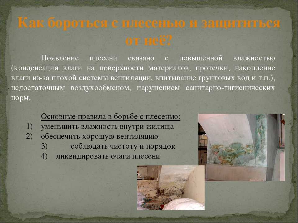 Анти молд пакет для обуви - защита от плесени и неприятного запаха - znaizdes.ru