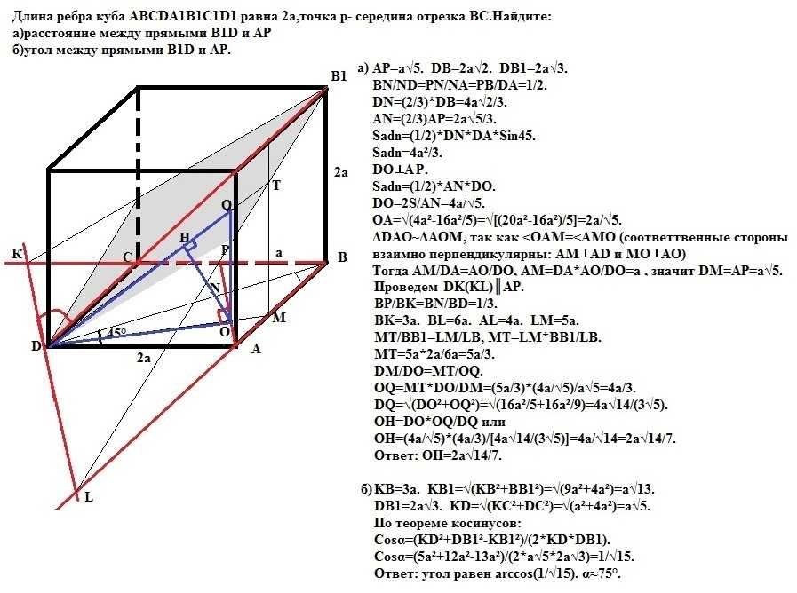Построить куб abcda1b1c1d1 указать прямые параллельные ребру bb1
