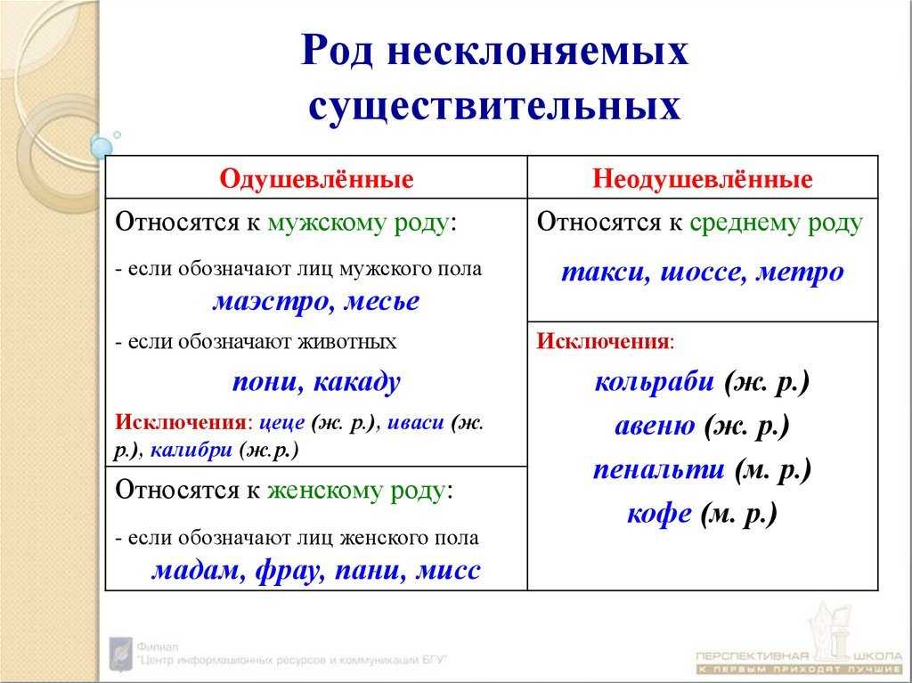 Род существительных: общий род, род несклоняемых существительных, род существительных во множественном числе