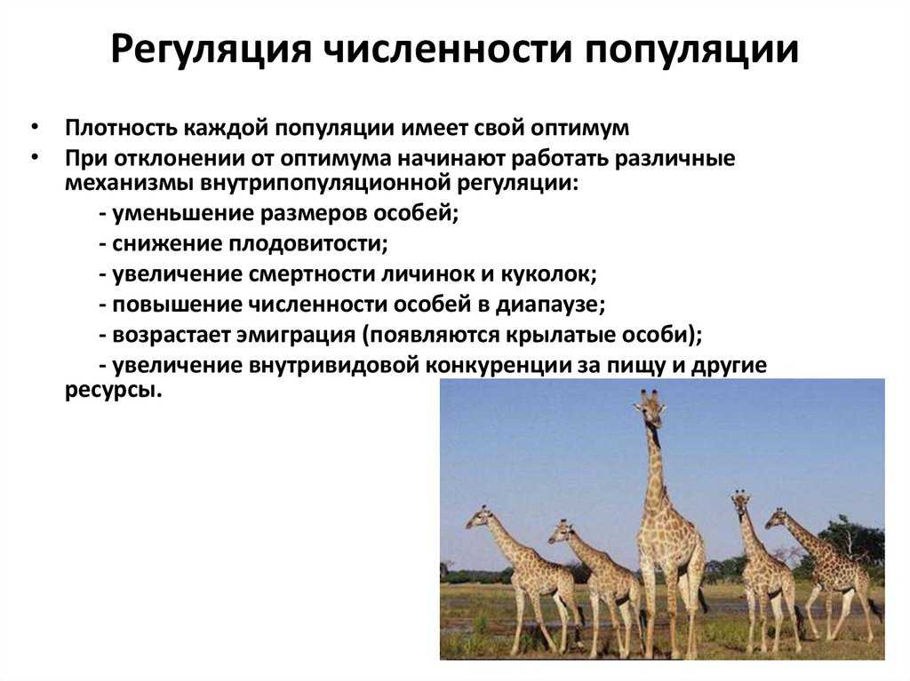 Экология популяций - егэ для vip