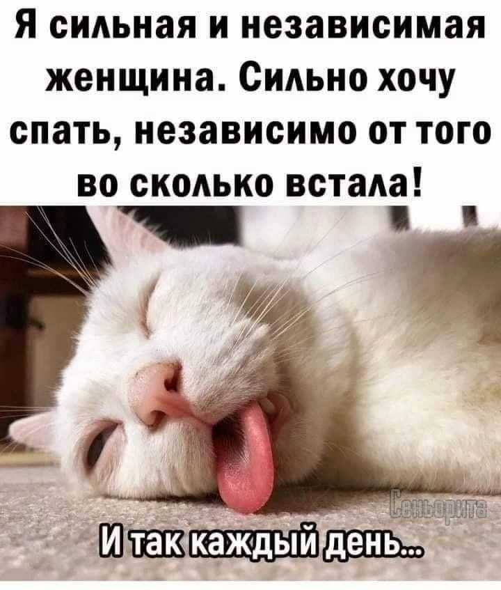 11 правил сильной и независимой женщины. сильная и независимая женщина