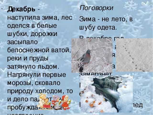 Смена времен года на земле