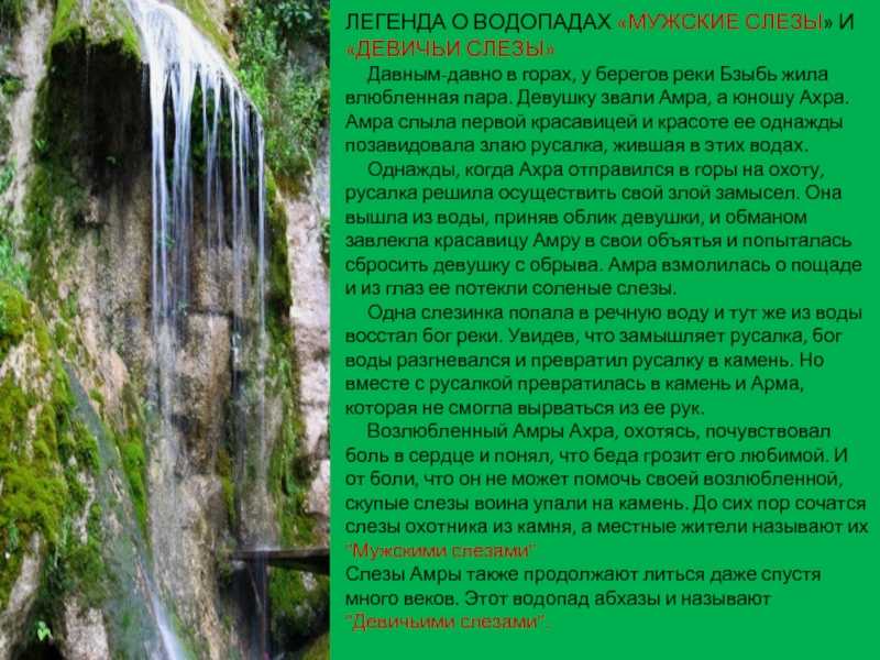 Какие животные обитают в пустыни — названия, фото и характеристика