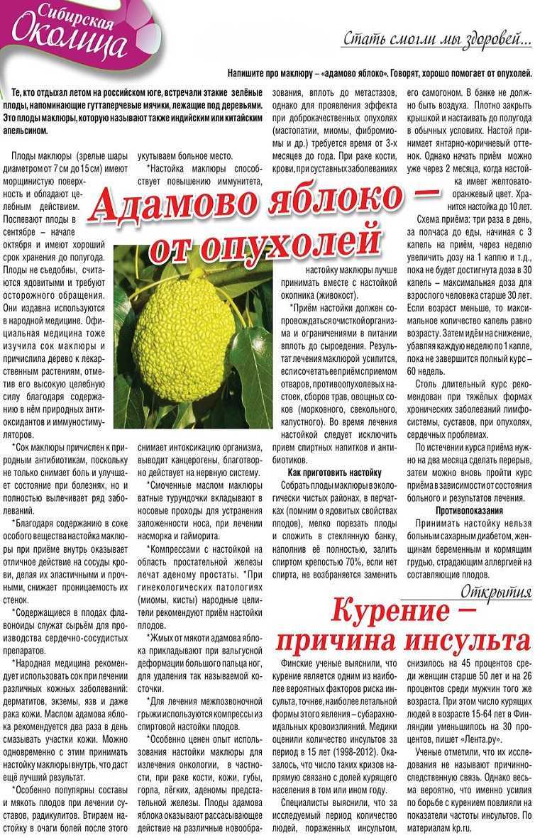 Происхождение и смысл выражения яблоко раздора. когда принято применять в современном мире