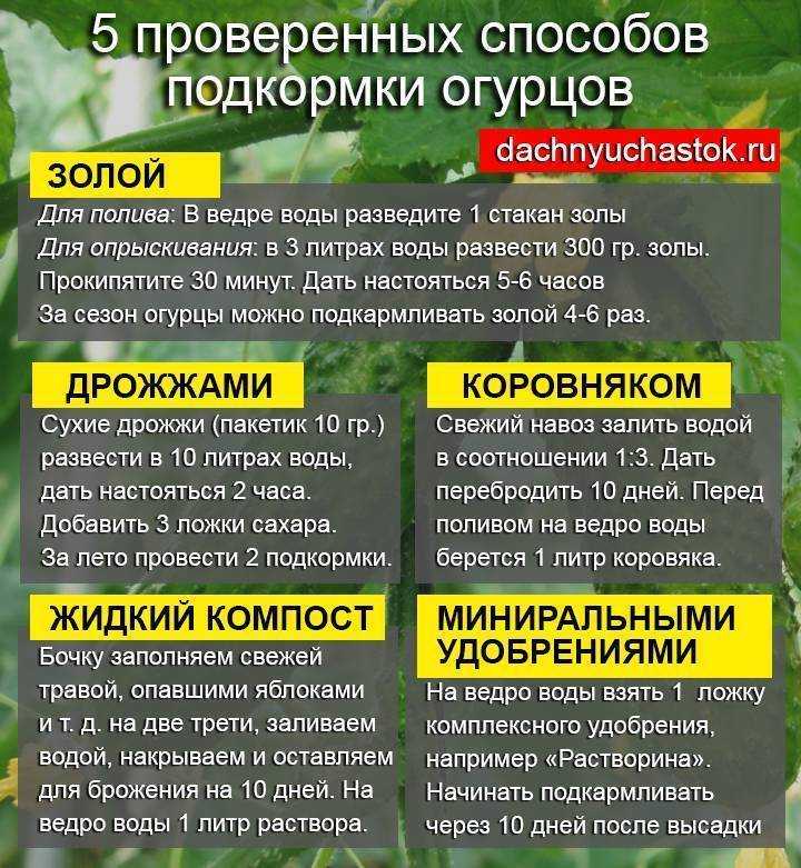Выясним как с помощью столовой и чайной ложки можно набрать 10 20 30 40 50 грамм мочевины