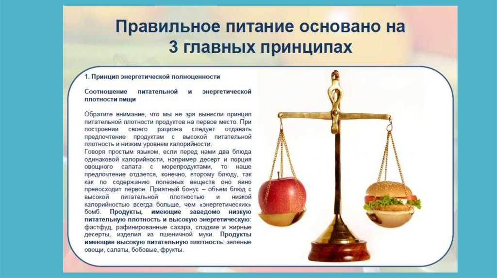 Не все калории равны. как различные виды продуктов, которые вы едите, влияют на ваш организм