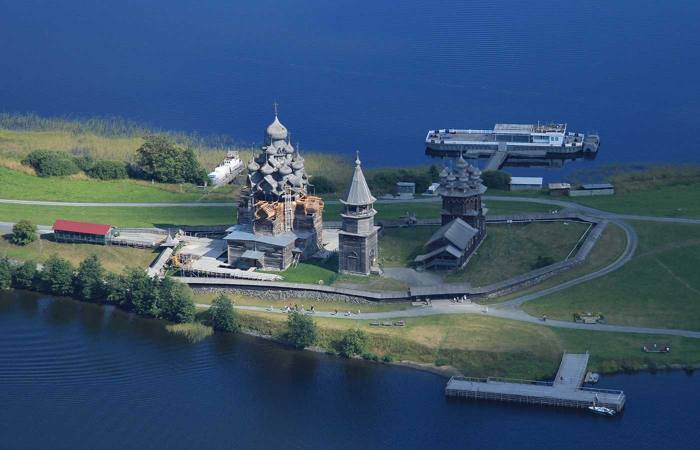 Растительный мир карелии