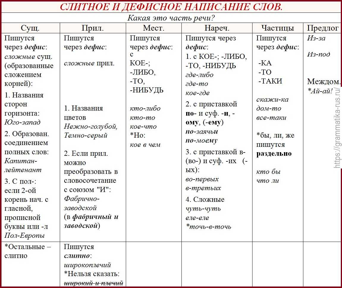 История развития динамо: какое динамо было первым