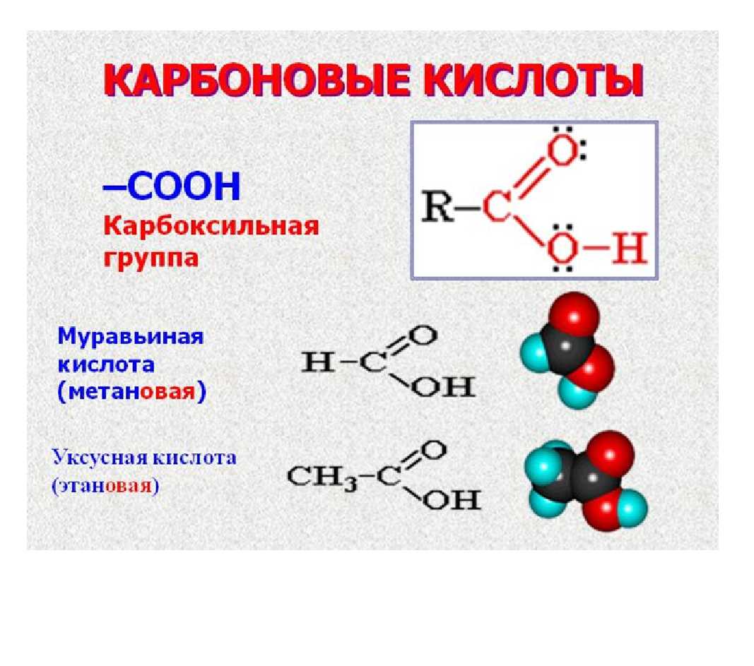 Органическая химия карбоновые кислоты