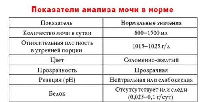 Анализ мочи у кошек: расшифровка, что показывают, как, когда и где лучше сдавать анализы_ | wwwcat.ru