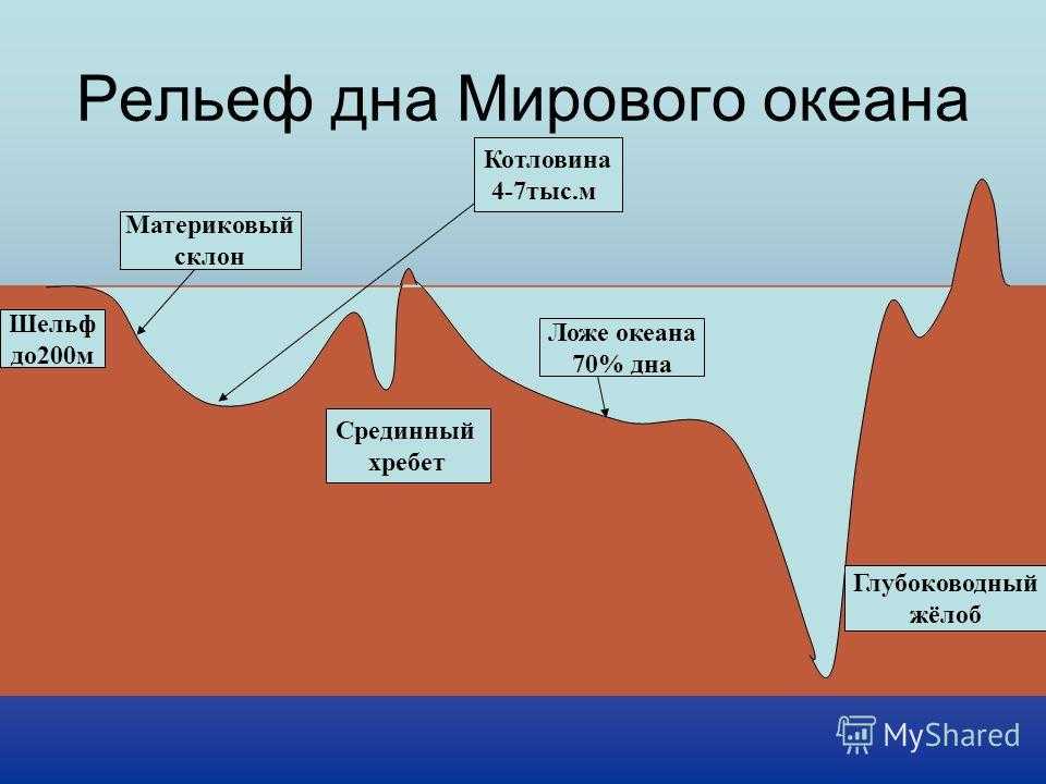 Всемирный день океанов
