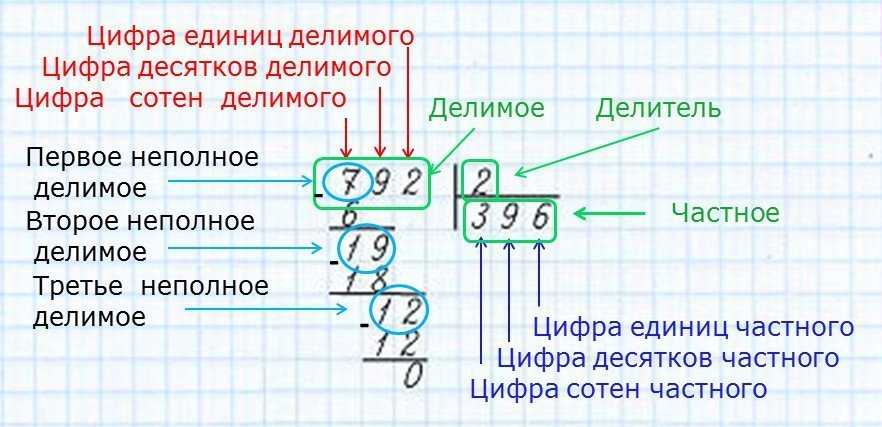 Как сделать колонки в документе «word» и разделить их вертикальными.