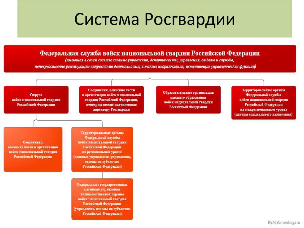 Сотрудники мвд при переходе в росгвардию сохранят свои звания и соцгарантии.