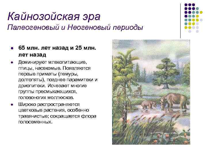 Основные признаки сходства у птиц и млекопитающих