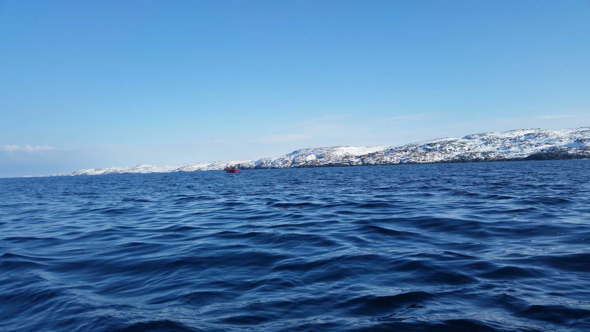 Баренцево море