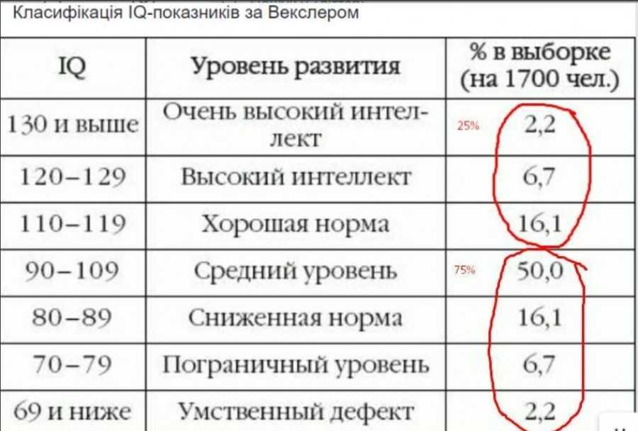 Интеллект – виды, коэффициент, уровни и развитие