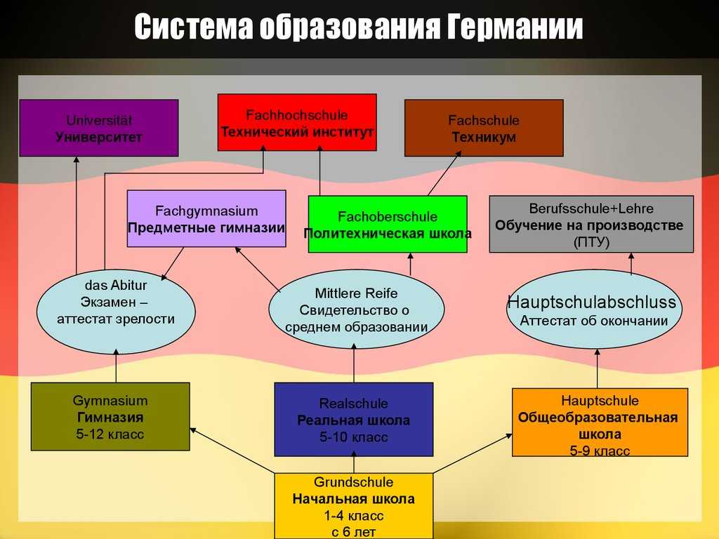 Обществознание боголюбов §3 | частная школа. 6 класс