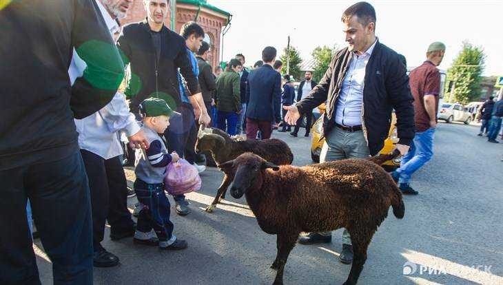 Мексиканские праздники: волшебство и ритуалы