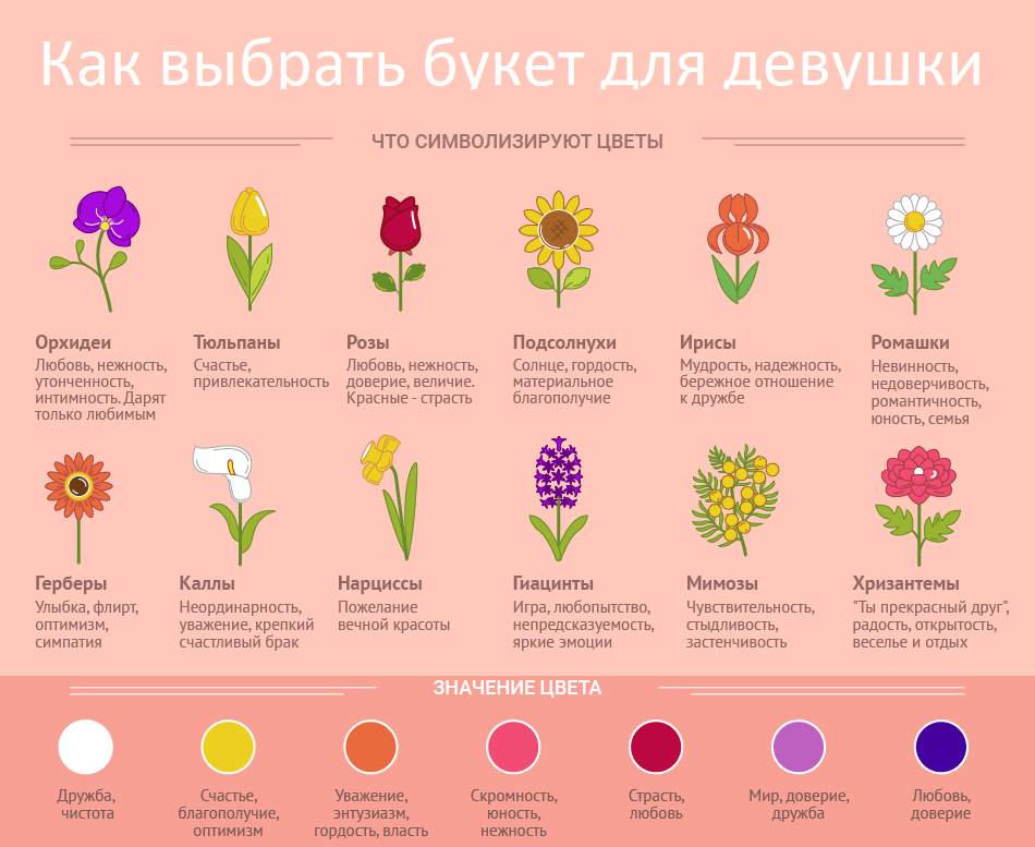 ЗНТЧС Западная Новая Транспортная Четверка Связи это термин который означает развитую систему сетевой инфраструктуры обеспечивающую передачу данных