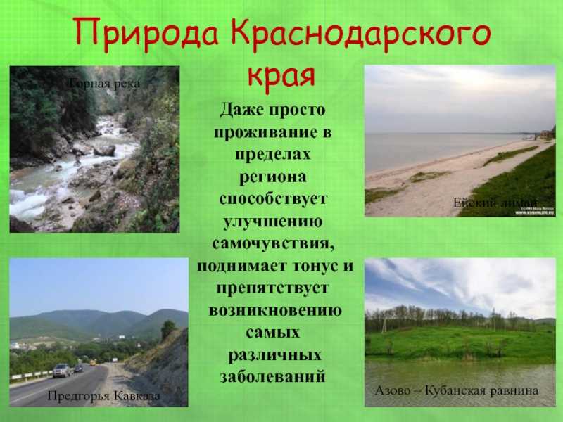 Разнообразие народов краснодарского края: какие национальности проживают в регионе