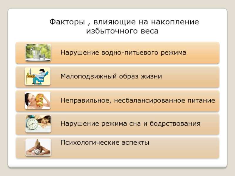 Средний вес барана живого, после разделки, годовалого, как рассчитать, как добиться прироста