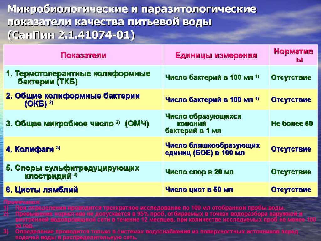 Бактерии – какие бывают виды в природе, список и примеры для сообщения или доклада кратко (5 класс, биология)