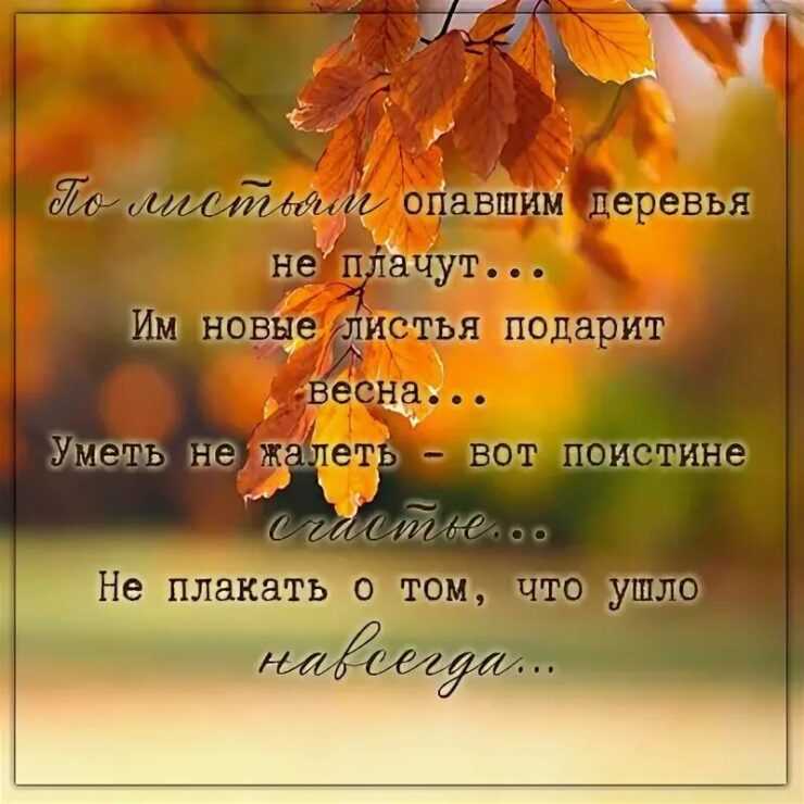 Александр пушкин — осень: стих