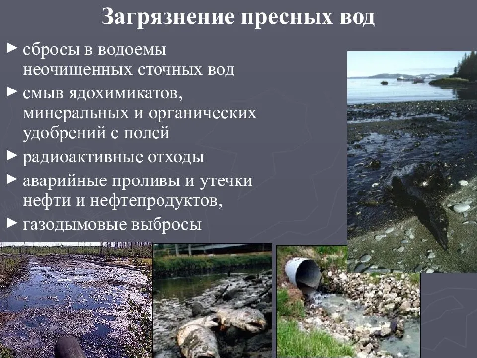 Самое грязное море в россии: в каком городе оно находится?