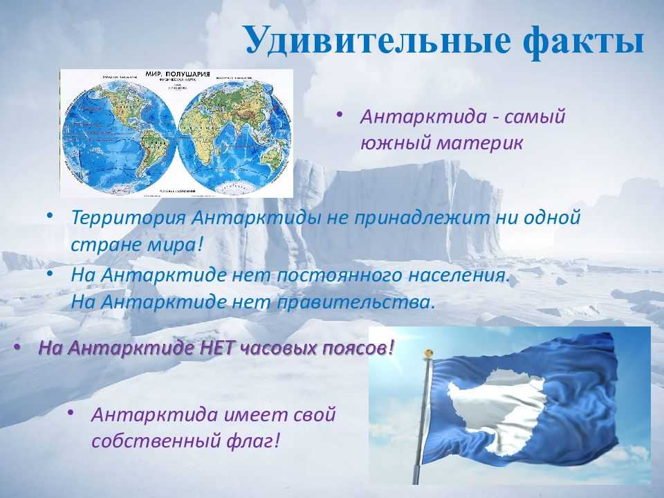 «самый холодный материк на земле антарктида»: топ 8 сочинений 2024 года