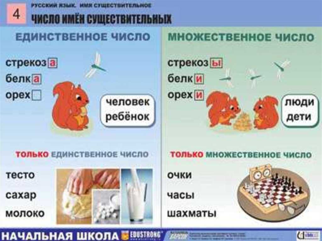 Особенности существительных общего рода в русском языке