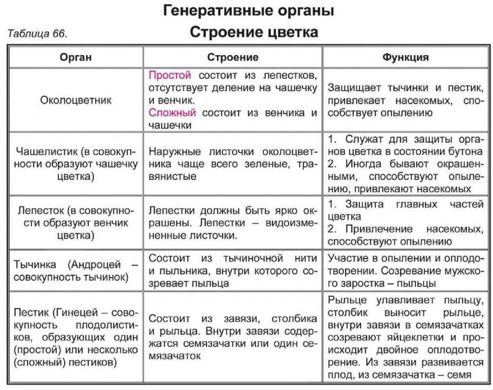 Лучшие маркеры для скетчинга