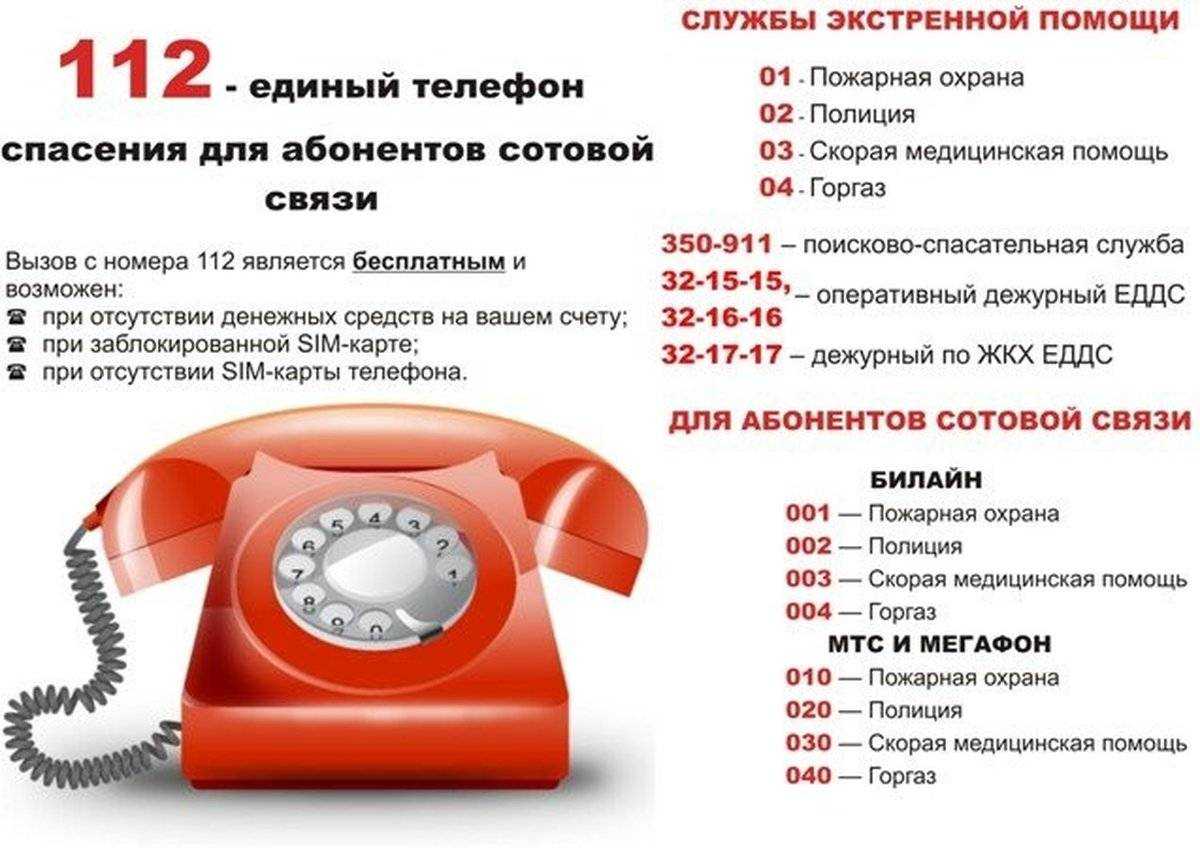 Горячая линия авто.ру