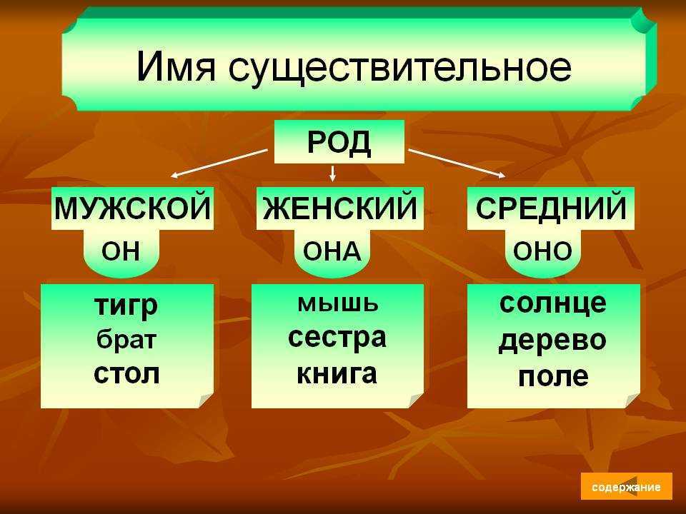 Вднх какого рода слово: грамматика словосочетаний и употребление