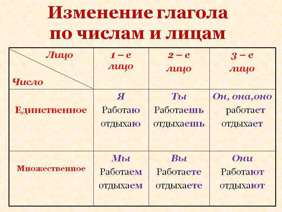 Лицо глагола, как определить – таблица для 1, 2, 3 лица в русском языке