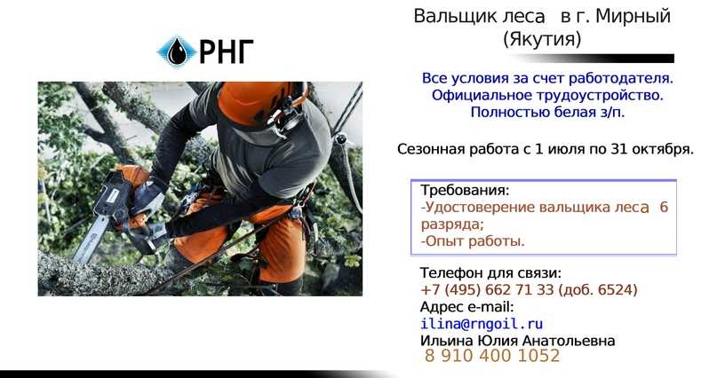 Сколько получают вальщики леса за куб