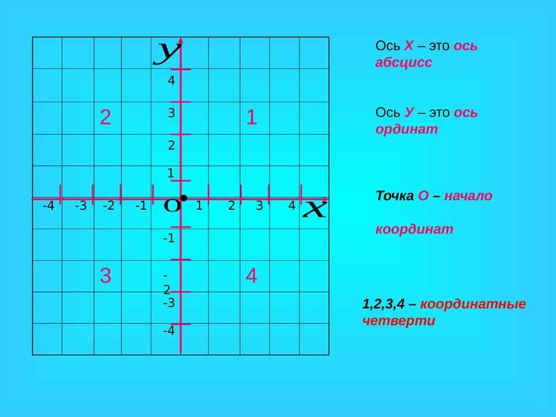 Постройка полигона и гистограммы частот
