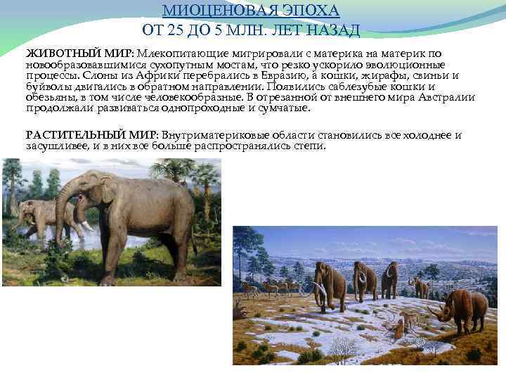 Почему пресмыкающиеся и птицы/млекопитающие сохранились до наших дней: причины сохранения животных