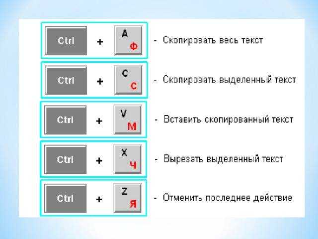 Как скопировать страницу в word