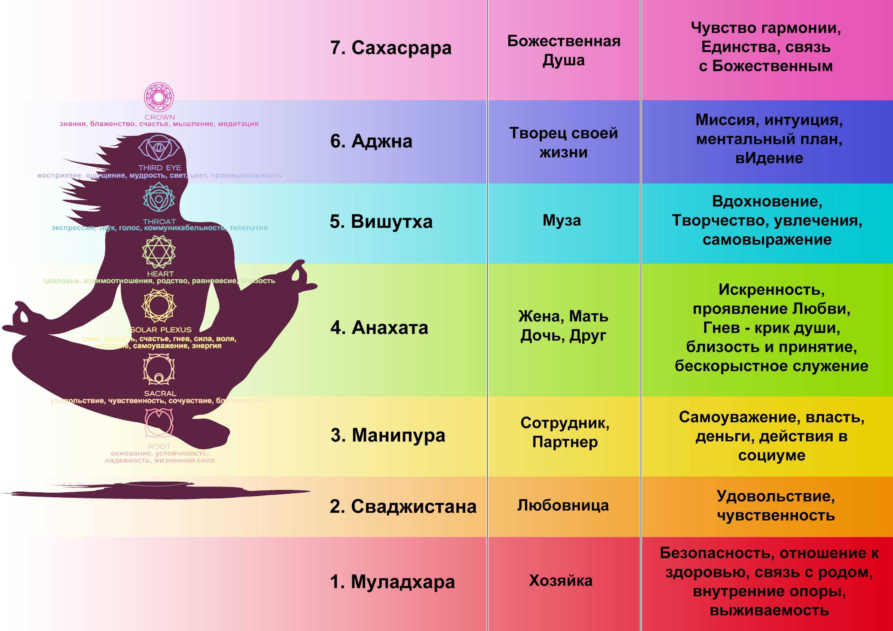 Что значит абсолютно солидарна и в чем суть этого понятия?