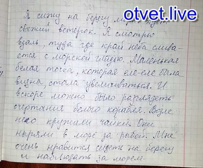 Витязево 114 маршрут расписание. автобусы и маршрутные такси анапы: все подробности и карты